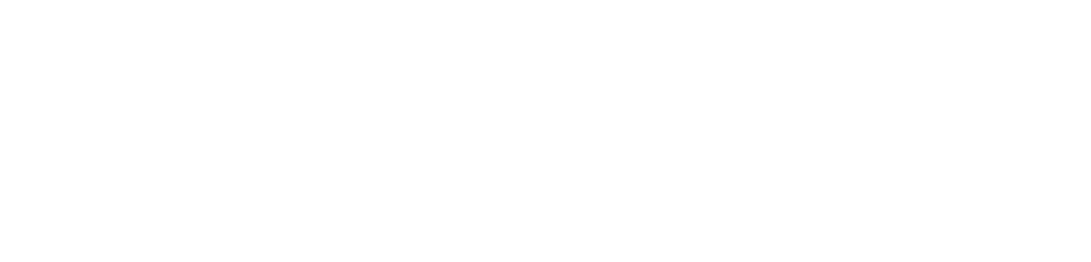 The Toy Insider